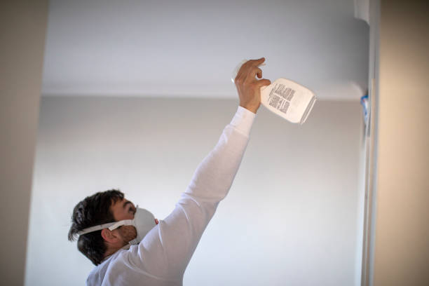 Best Mold Cleaning Services  in Payette, ID