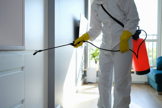 Mold Testing and Removal in Payette, ID